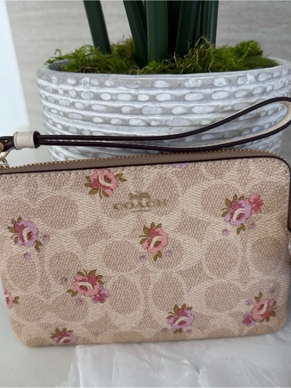 Coach Corner Zip Wristlet In Signature Canvas With Floral Print